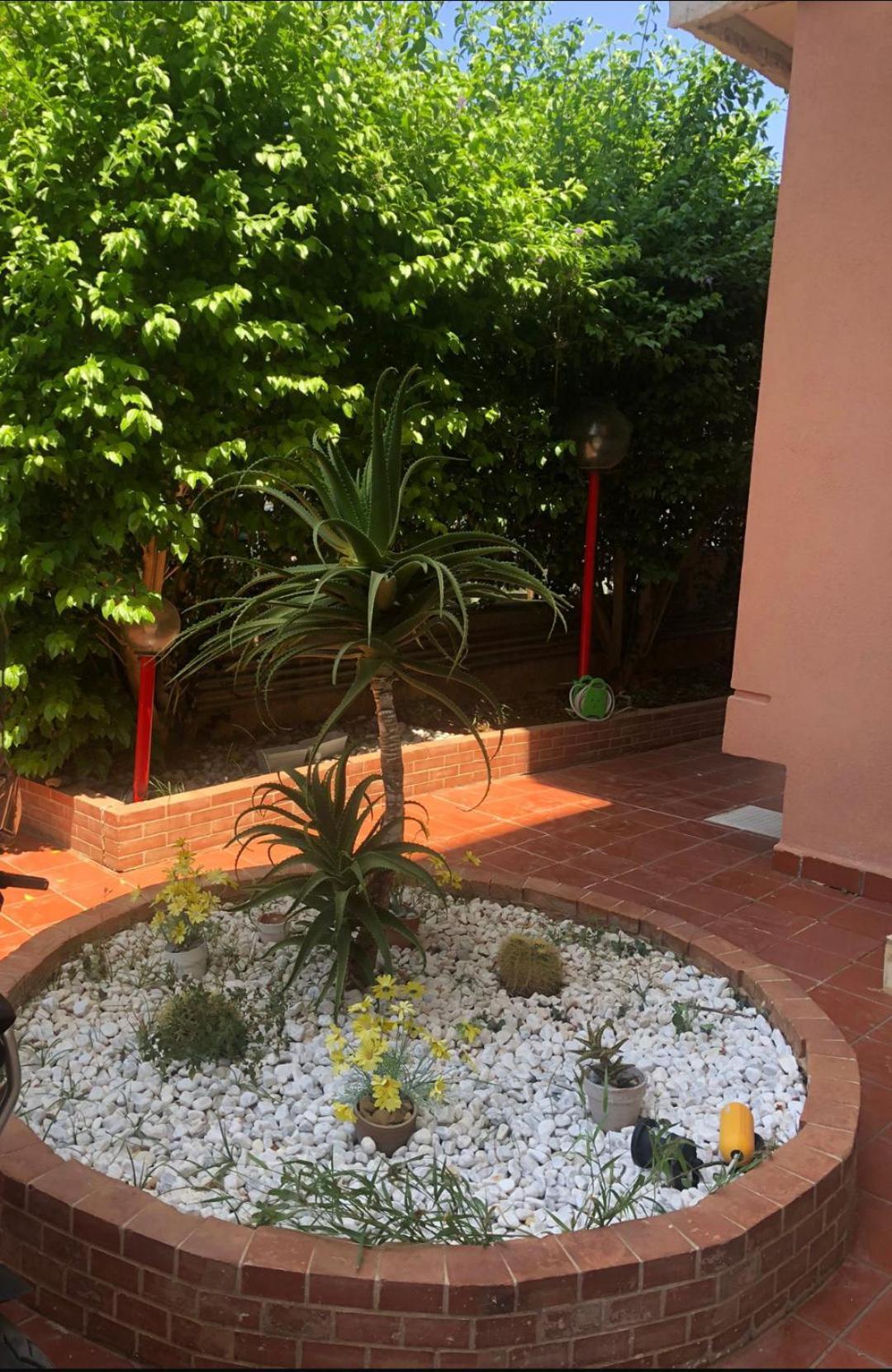 Mondello House Lemon Palermo