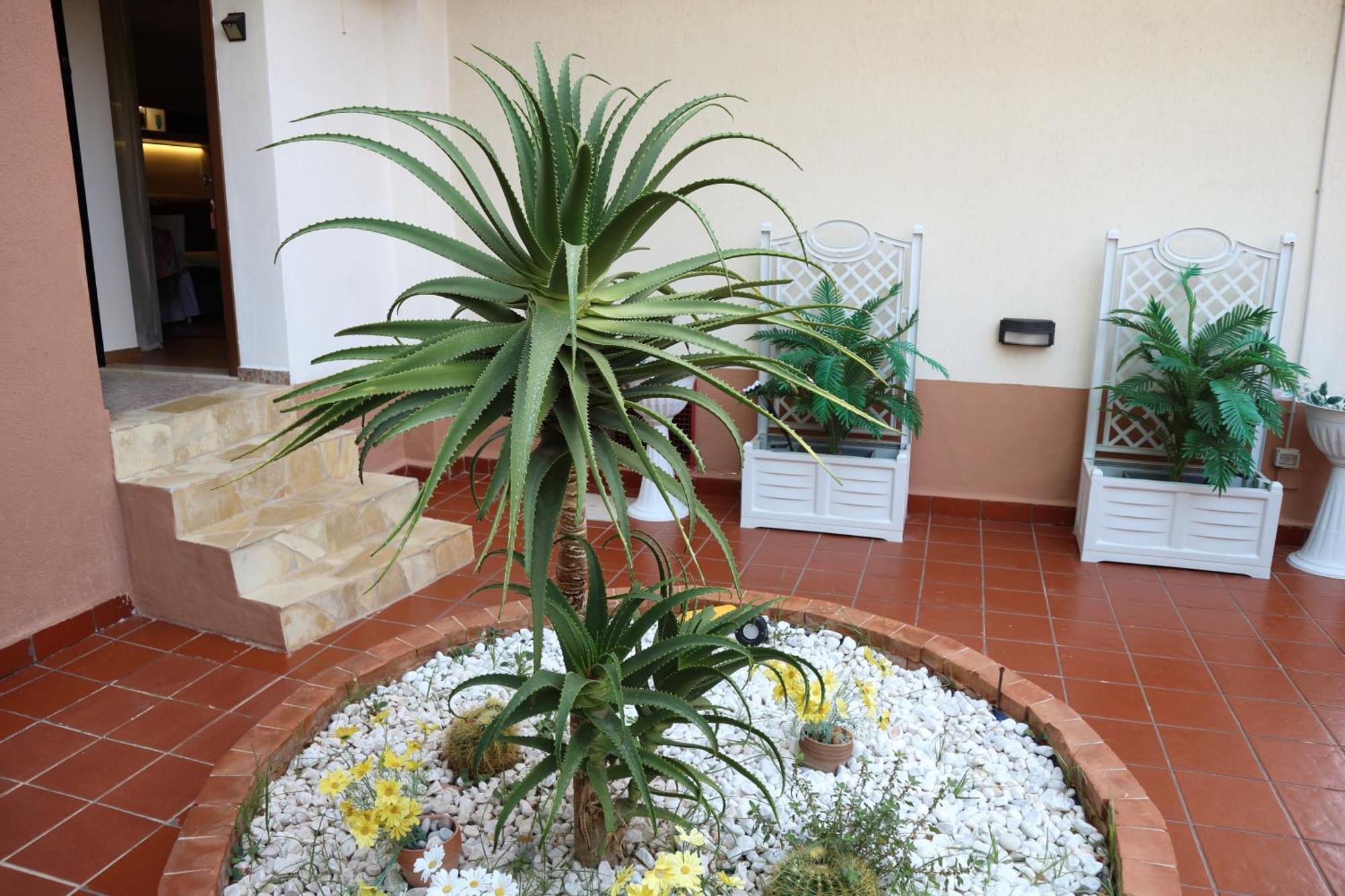 Mondello House Lemon Appartamento *