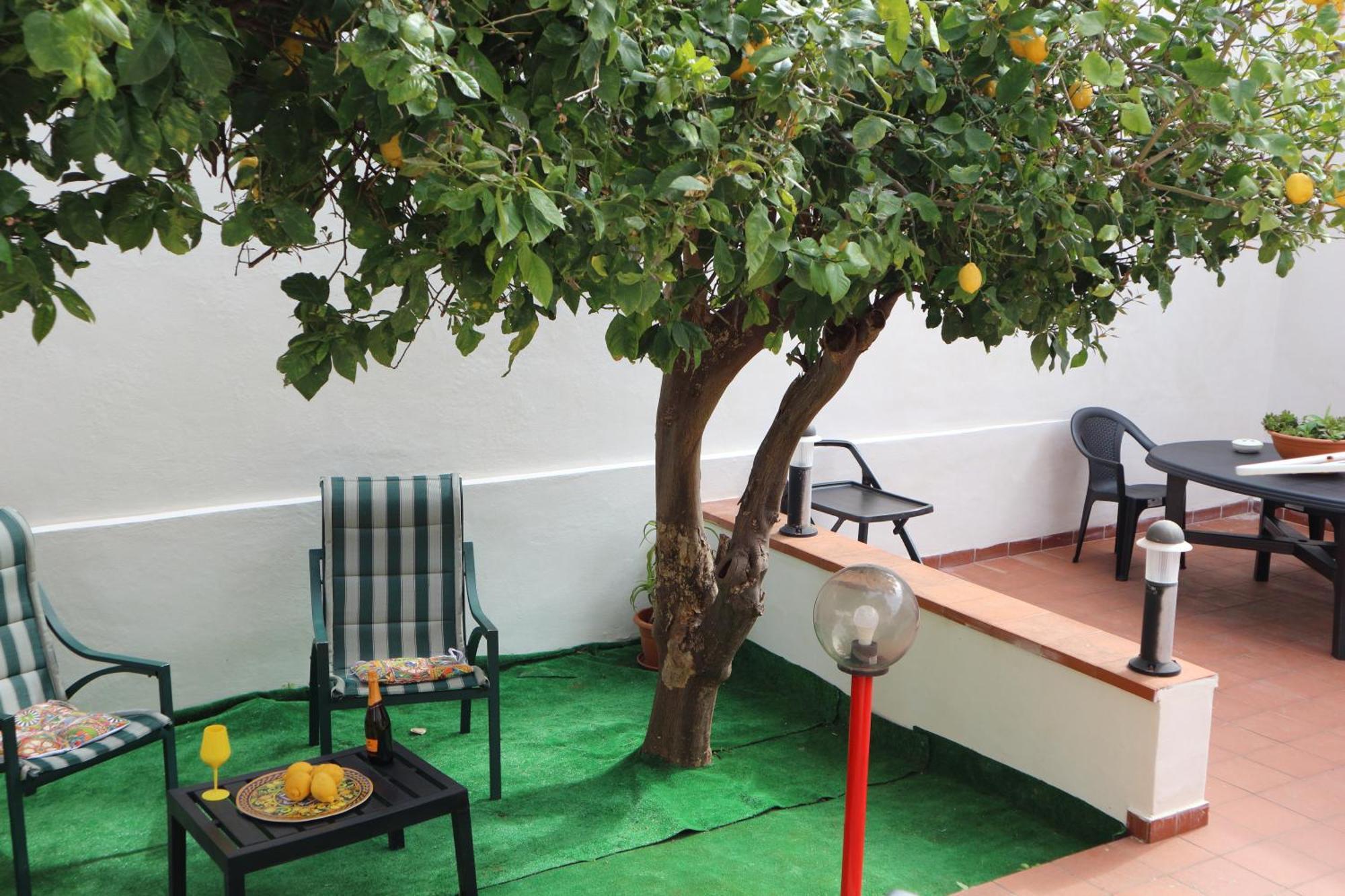 Mondello House Lemon Palermo